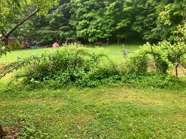 $255,000 | 144 Prospect Valley Road, Willseyville, NY 13864