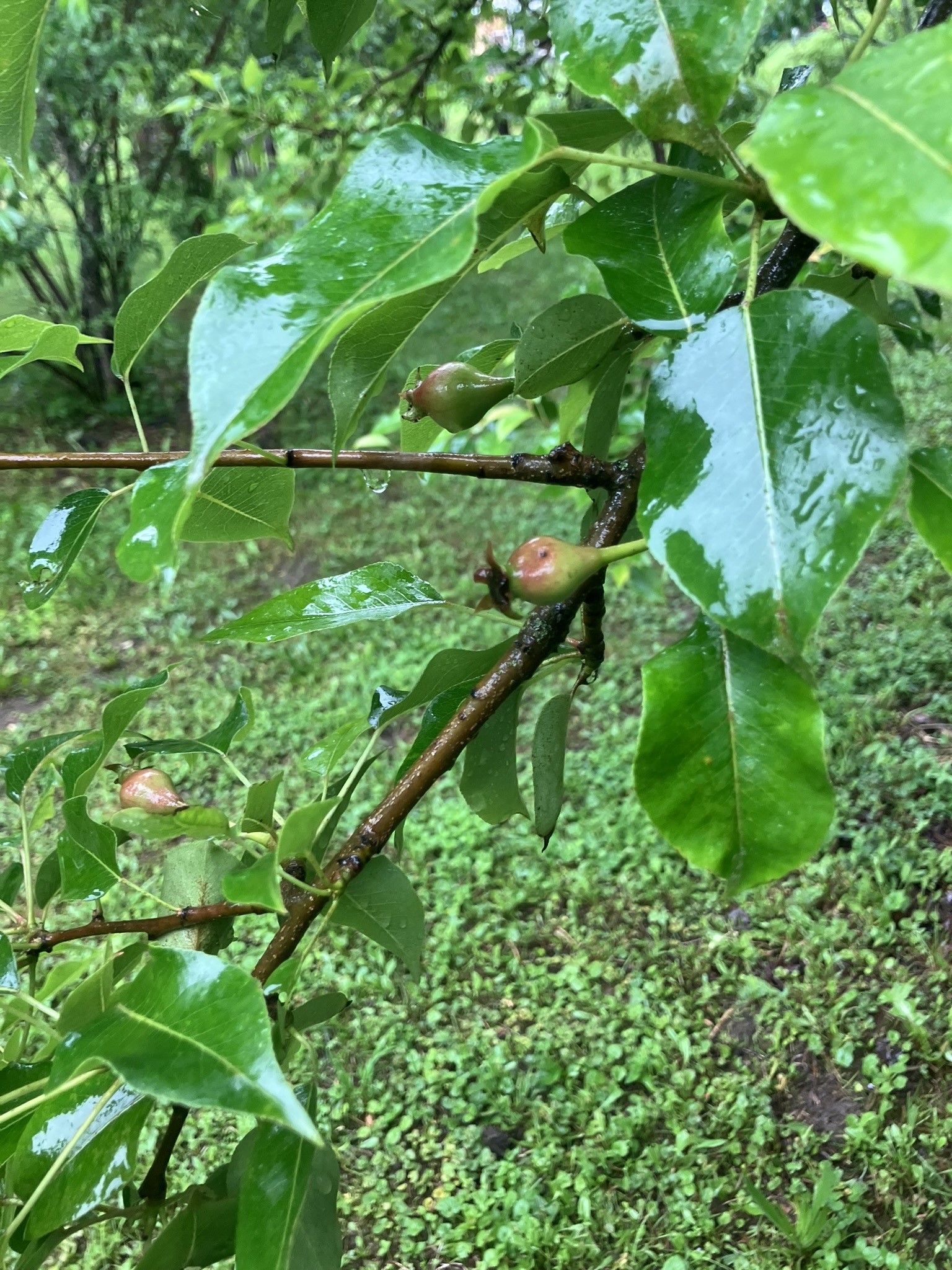 144 Prospect Valley Road Willseyville, NY 13864 - Photo 36 of 38