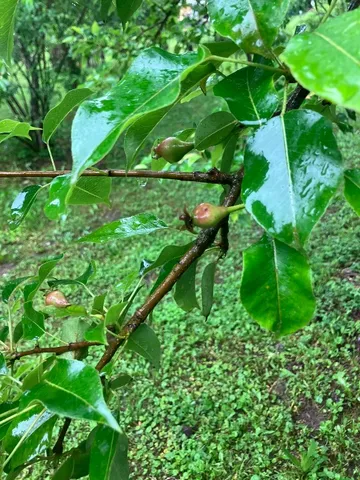 $255,000 | 144 Prospect Valley Road, Willseyville, NY 13864