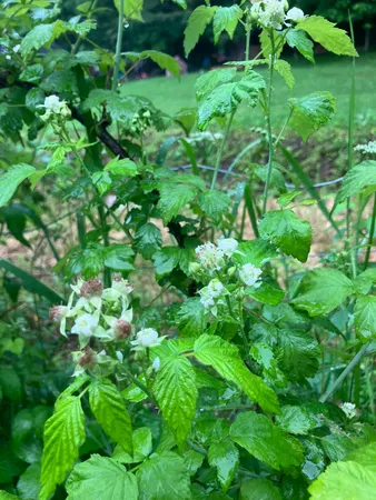 $255,000 | 144 Prospect Valley Road, Willseyville, NY 13864