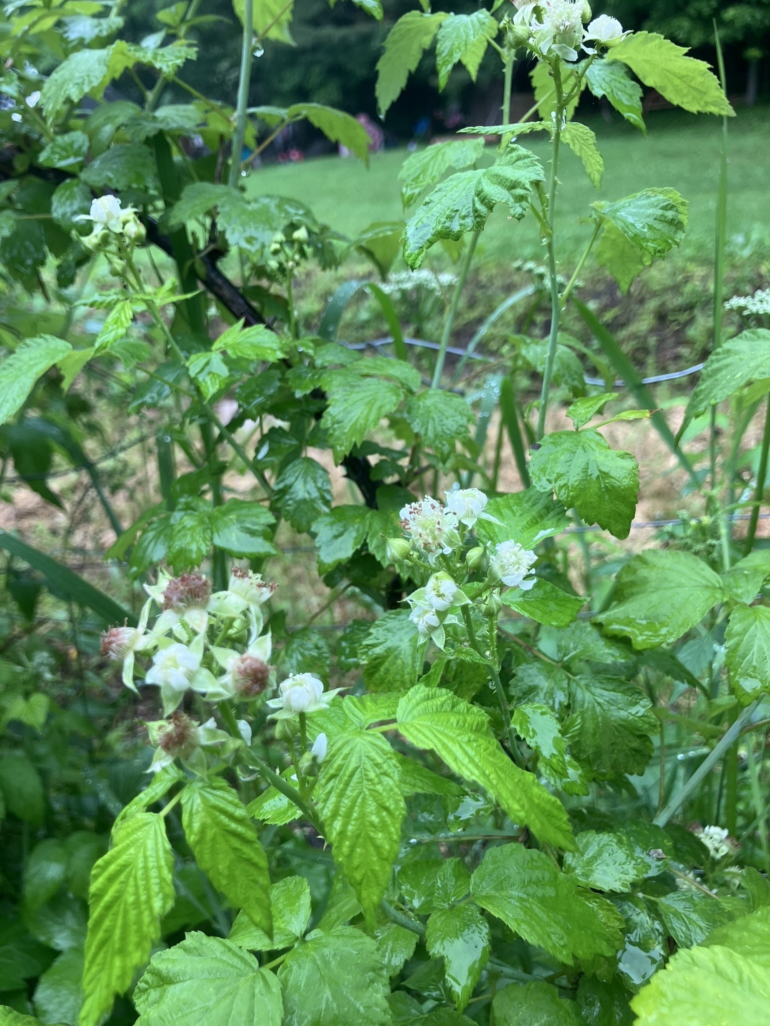 144 Prospect Valley Road Willseyville, NY 13864 - Photo 37 of 38