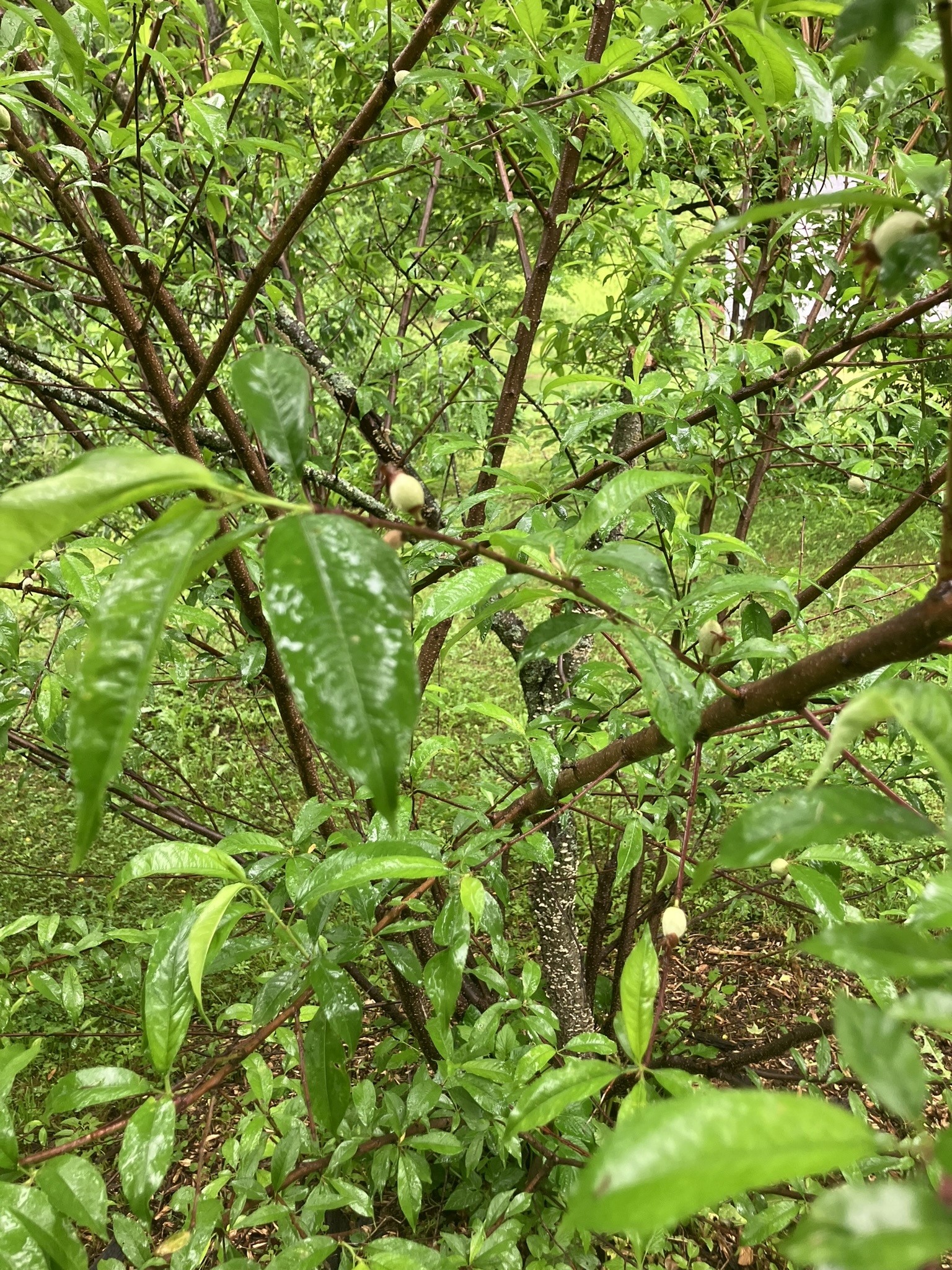 144 Prospect Valley Road Willseyville, NY 13864 - Photo 38 of 38