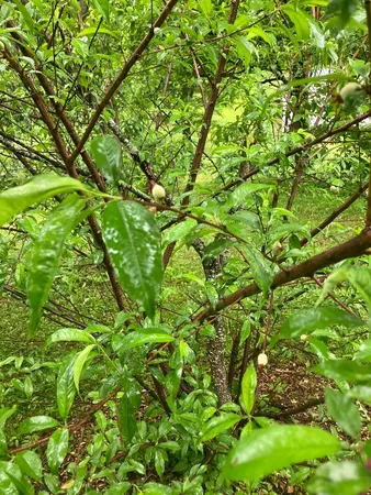 $255,000 | 144 Prospect Valley Road, Willseyville, NY 13864