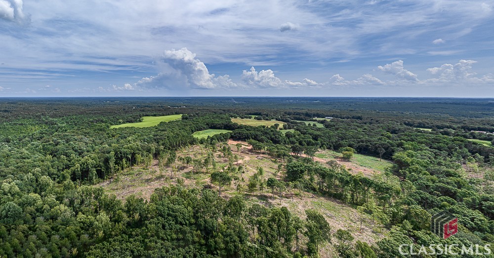 Lot 1 Coldwater Road Dewy Rose, GA 30634 - Photo 6 of 21