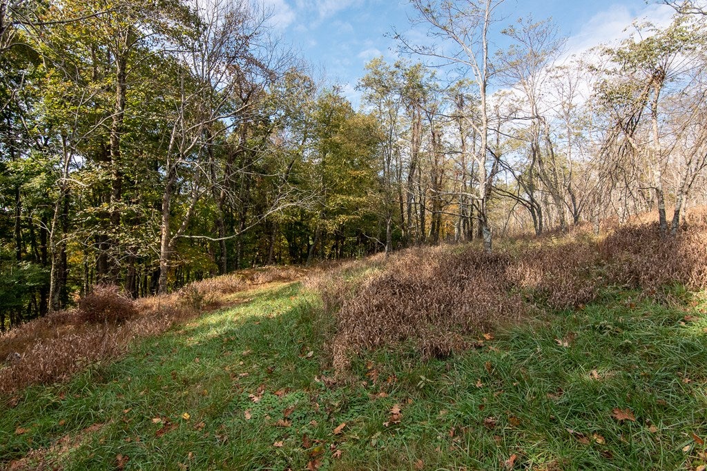 Tbd Tbd Fairview Church Road Floyd, VA 24091 - Photo 10 of 36 Gallery Image 10
