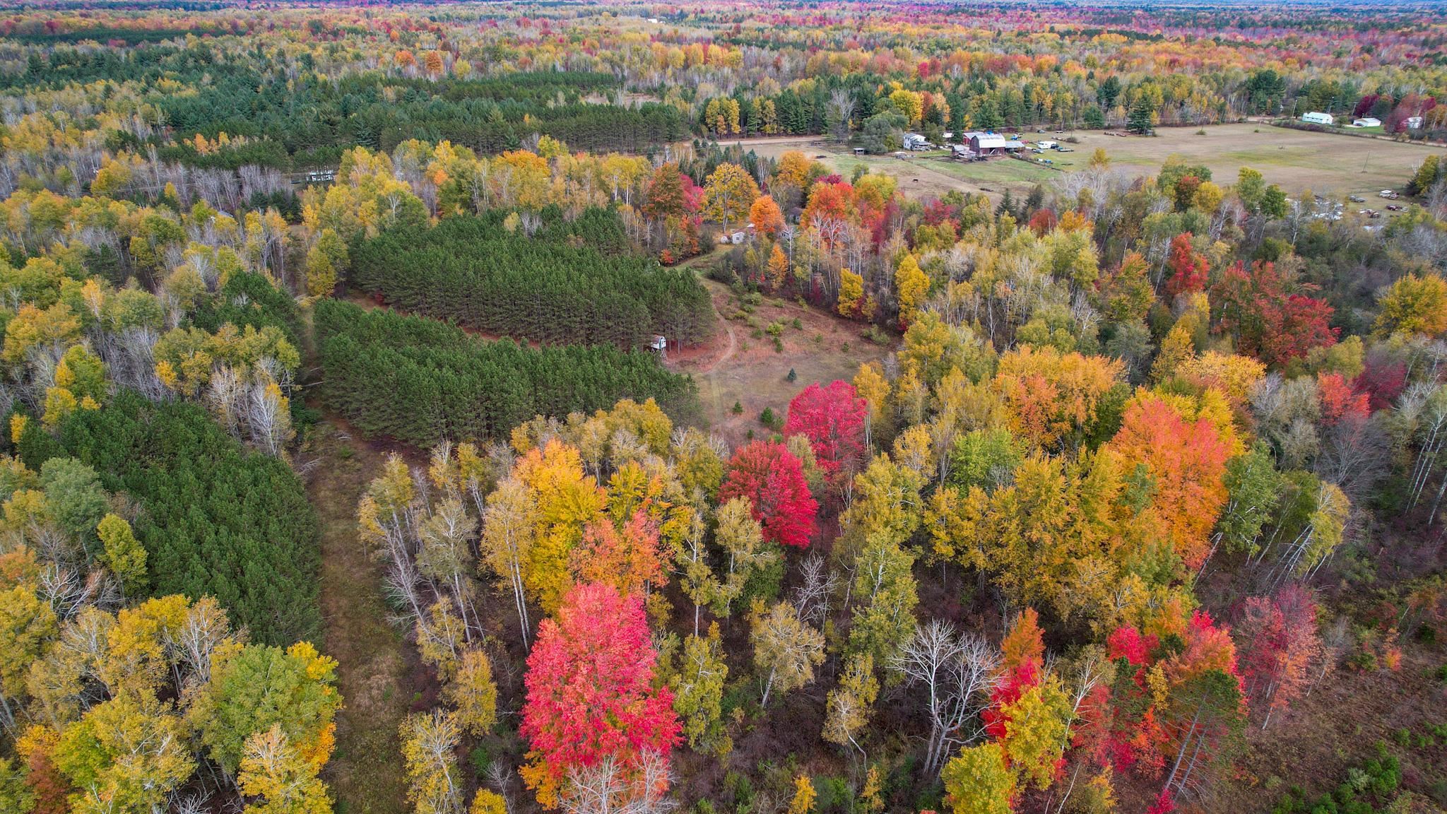 1167 West Sun Oil Road Gladwin, MI 48624 - Photo 41 of 75