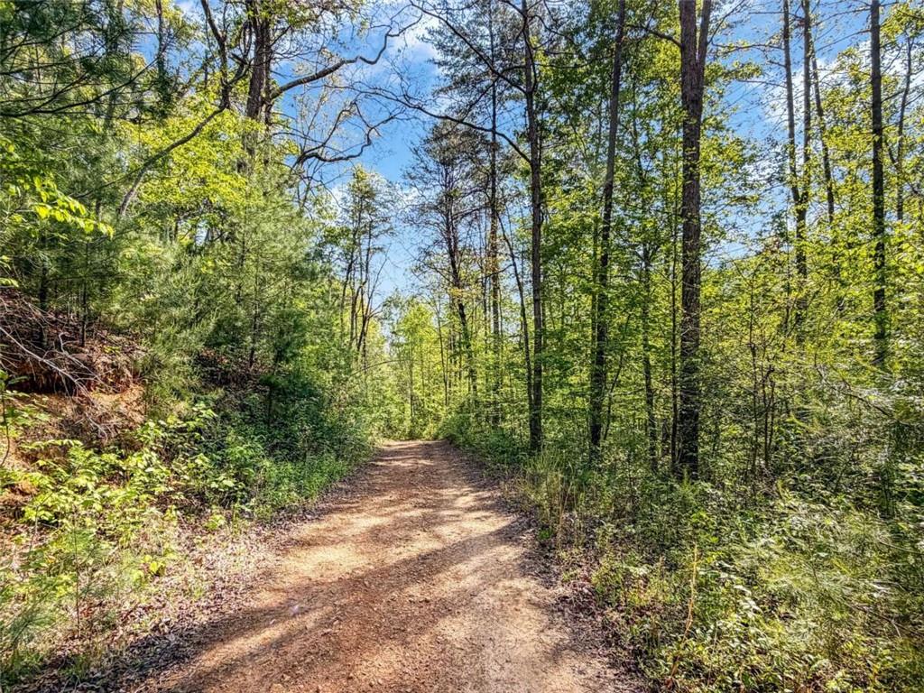 80-acr Valley Lake Road Mineral Bluff, GA 30559 - Photo 11 of 58
