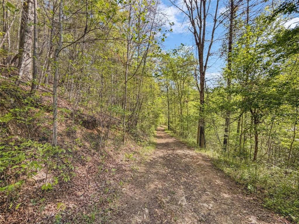 80-acr Valley Lake Road Mineral Bluff, GA 30559 - Photo 12 of 58