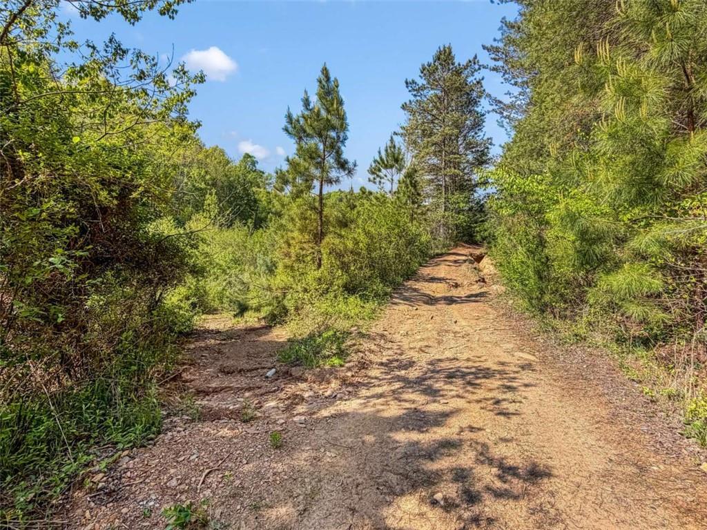 80-acr Valley Lake Road Mineral Bluff, GA 30559 - Photo 13 of 58