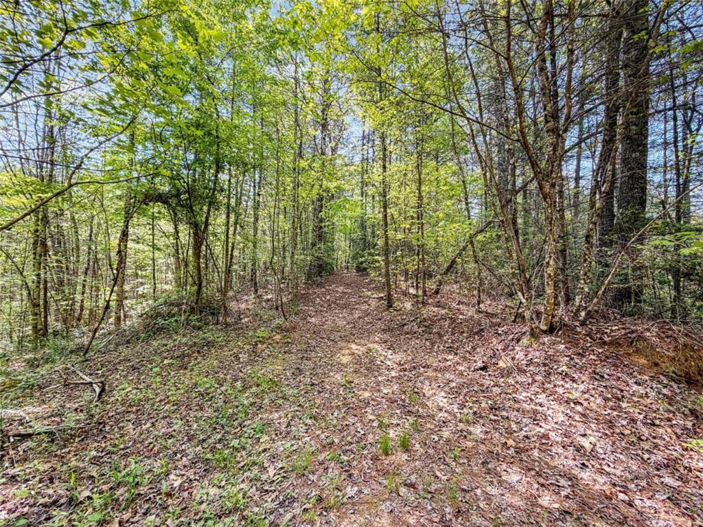 80-acr Valley Lake Road Mineral Bluff, GA 30559 - Photo 14 of 58