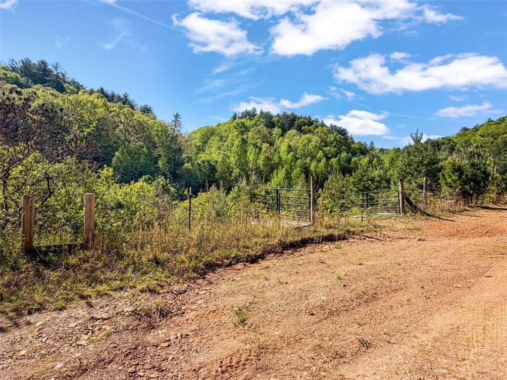 80-acr Valley Lake Road Mineral Bluff, GA 30559 - Photo 15 of 58