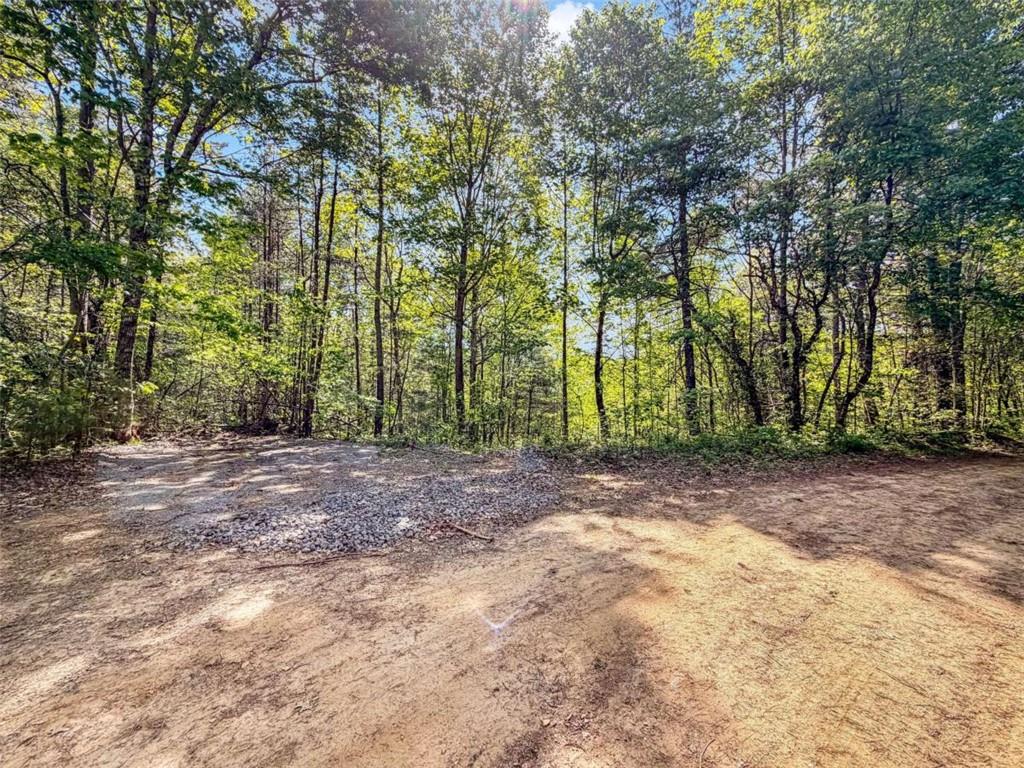80-acr Valley Lake Road Mineral Bluff, GA 30559 - Photo 16 of 58