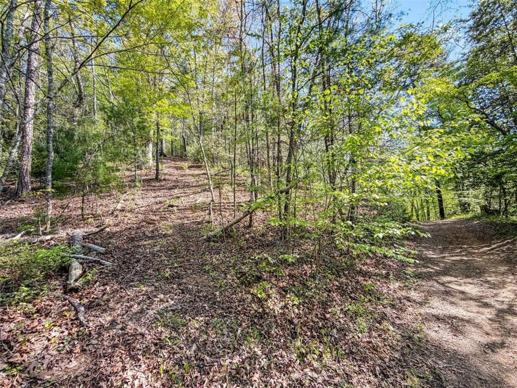 80-acr Valley Lake Road Mineral Bluff, GA 30559 - Photo 18 of 58