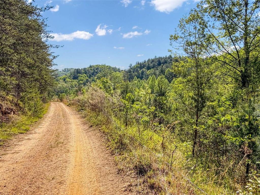 80-acr Valley Lake Road Mineral Bluff, GA 30559 - Photo 19 of 58
