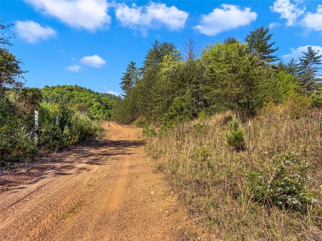 80-acr Valley Lake Road Mineral Bluff, GA 30559 - Photo 25 of 58