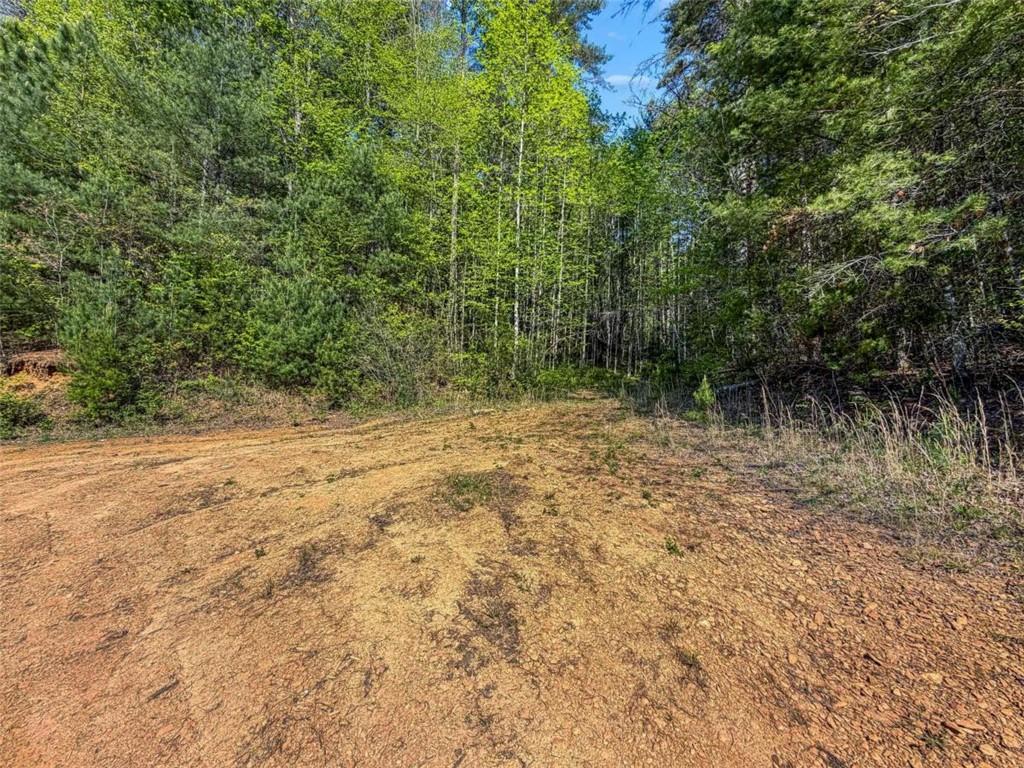 80-acr Valley Lake Road Mineral Bluff, GA 30559 - Photo 27 of 58