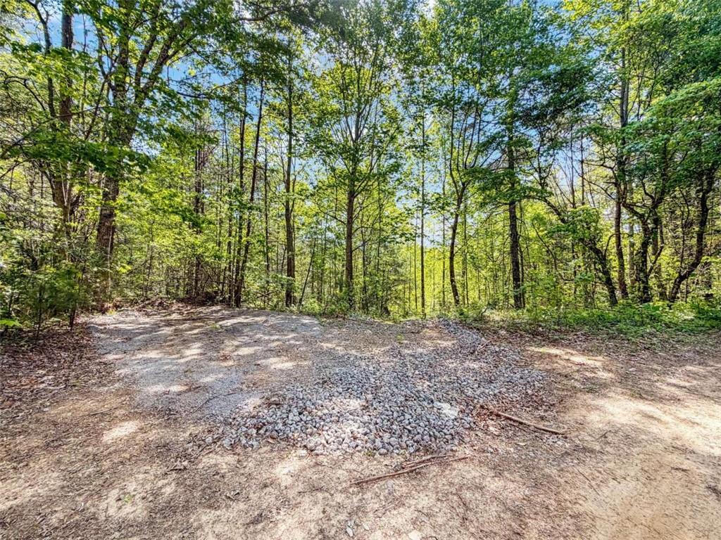 80-acr Valley Lake Road Mineral Bluff, GA 30559 - Photo 30 of 58