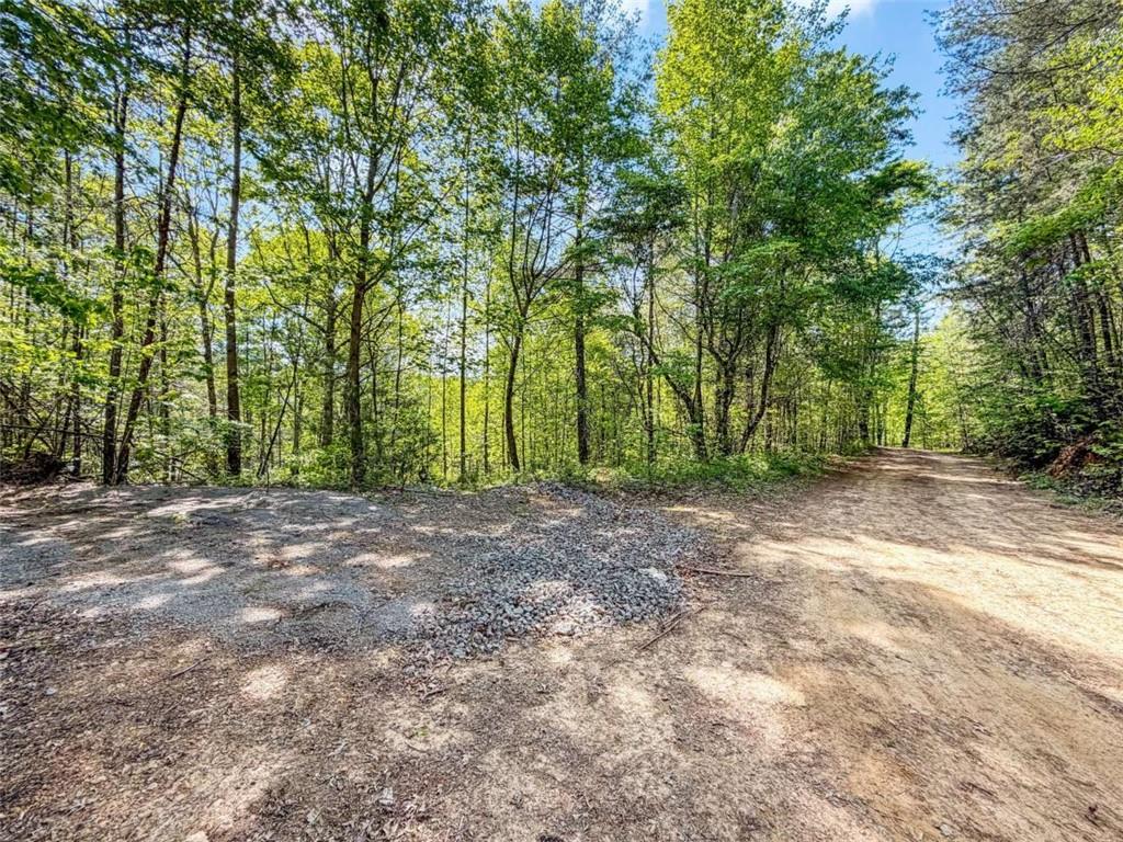 80-acr Valley Lake Road Mineral Bluff, GA 30559 - Photo 31 of 58