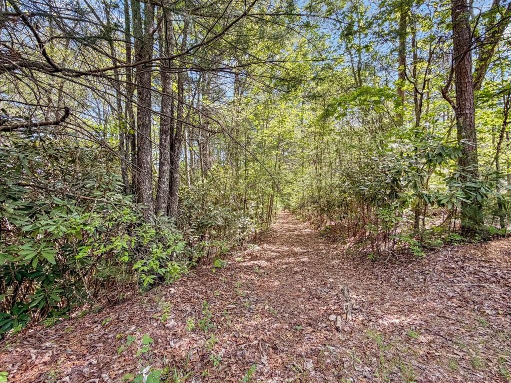 80-acr Valley Lake Road Mineral Bluff, GA 30559 - Photo 33 of 58