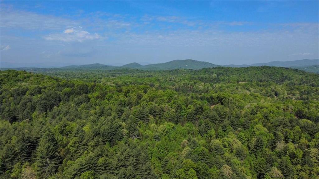 80-acr Valley Lake Road Mineral Bluff, GA 30559 - Photo 34 of 58
