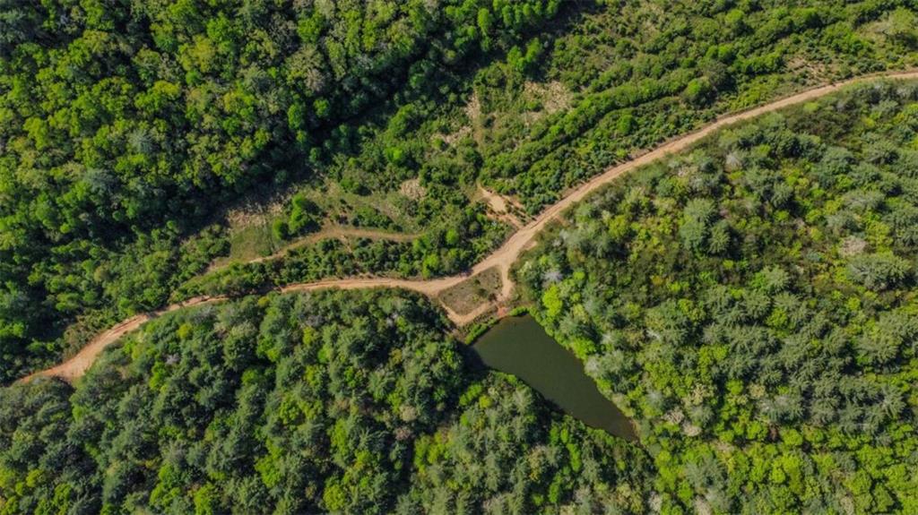80-acr Valley Lake Road Mineral Bluff, GA 30559 - Photo 37 of 58