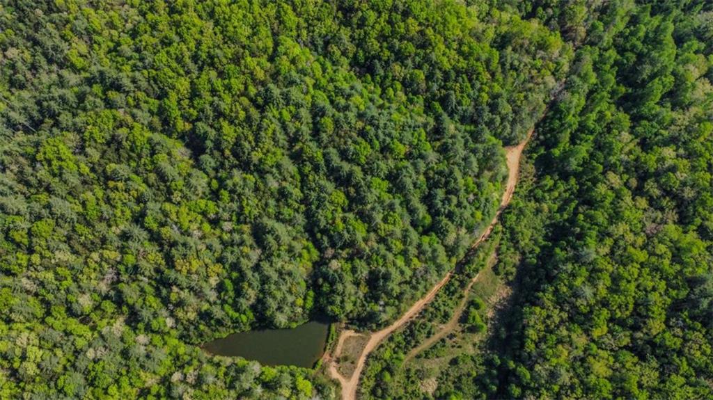 80-acr Valley Lake Road Mineral Bluff, GA 30559 - Photo 4 of 58