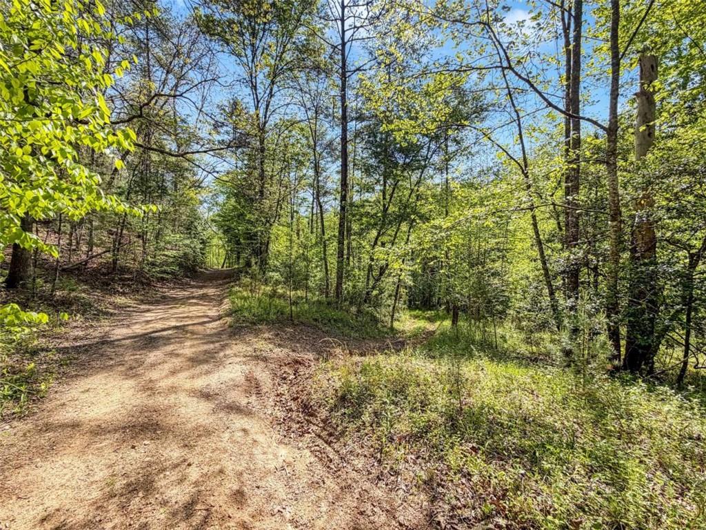 80-acr Valley Lake Road Mineral Bluff, GA 30559 - Photo 48 of 58