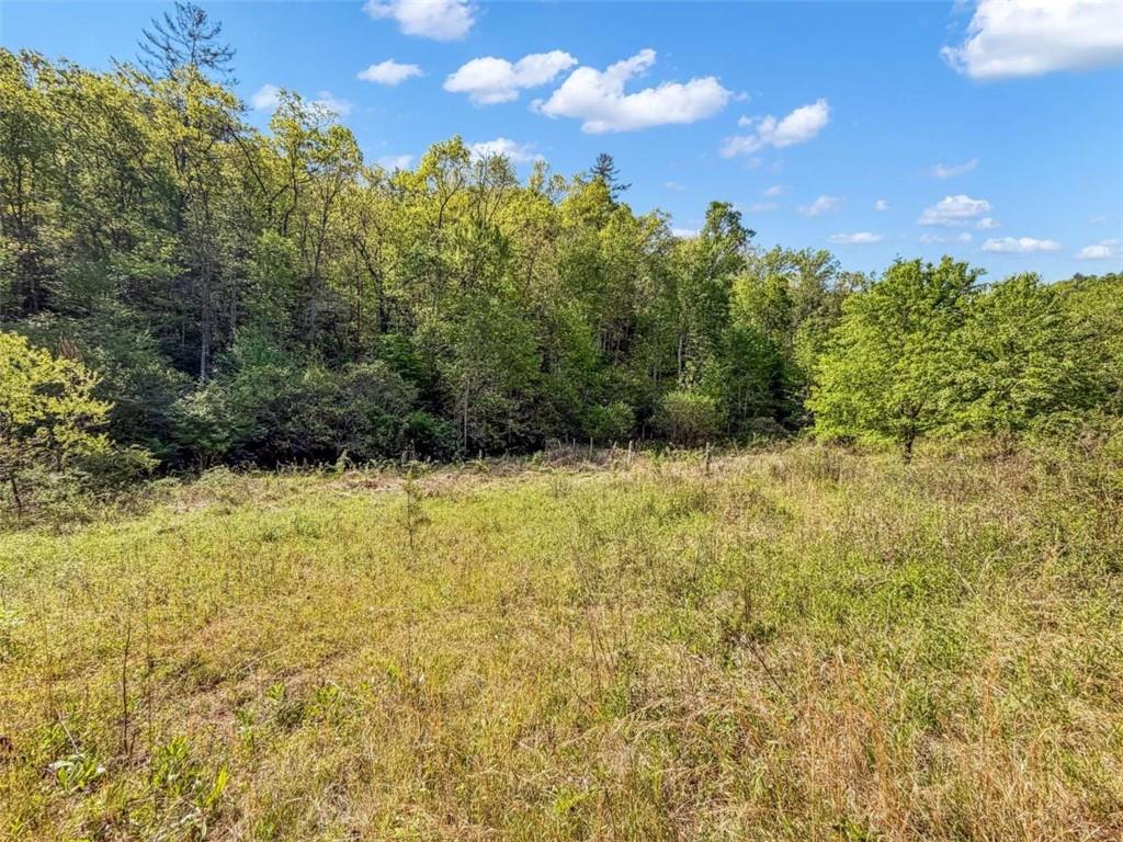 80-acr Valley Lake Road Mineral Bluff, GA 30559 - Photo 52 of 58