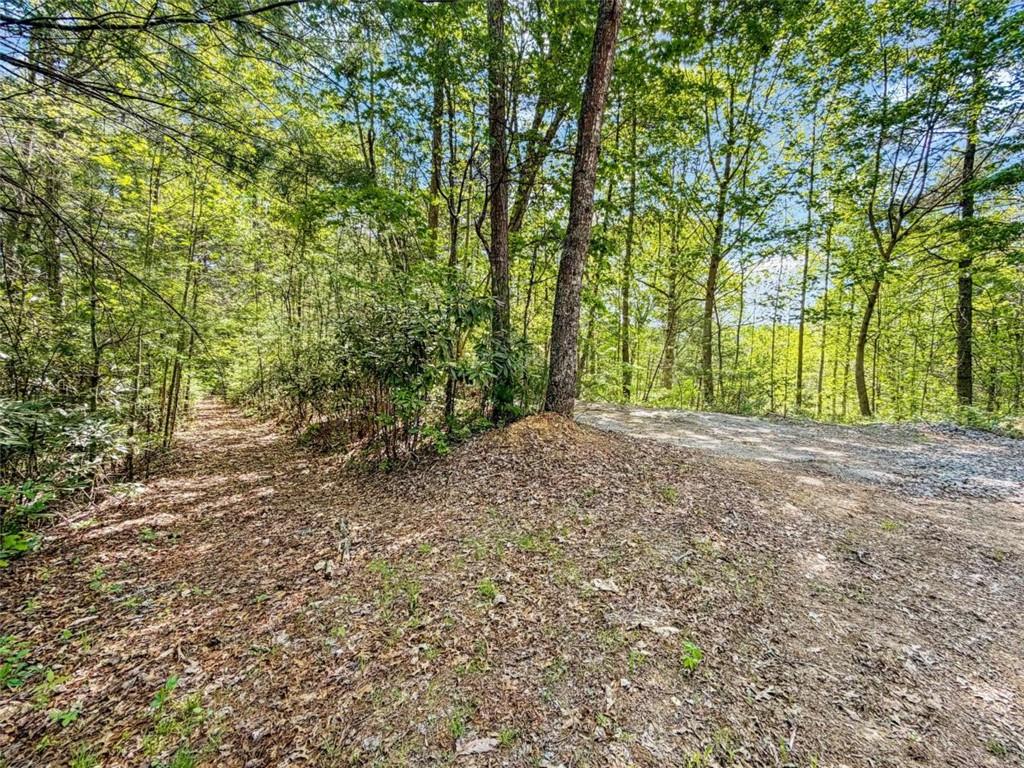 80-acr Valley Lake Road Mineral Bluff, GA 30559 - Photo 55 of 58