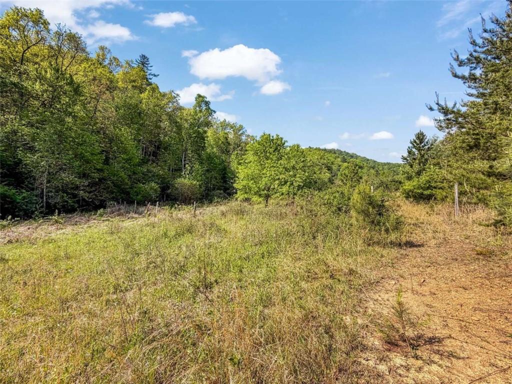80-acr Valley Lake Road Mineral Bluff, GA 30559 - Photo 56 of 58