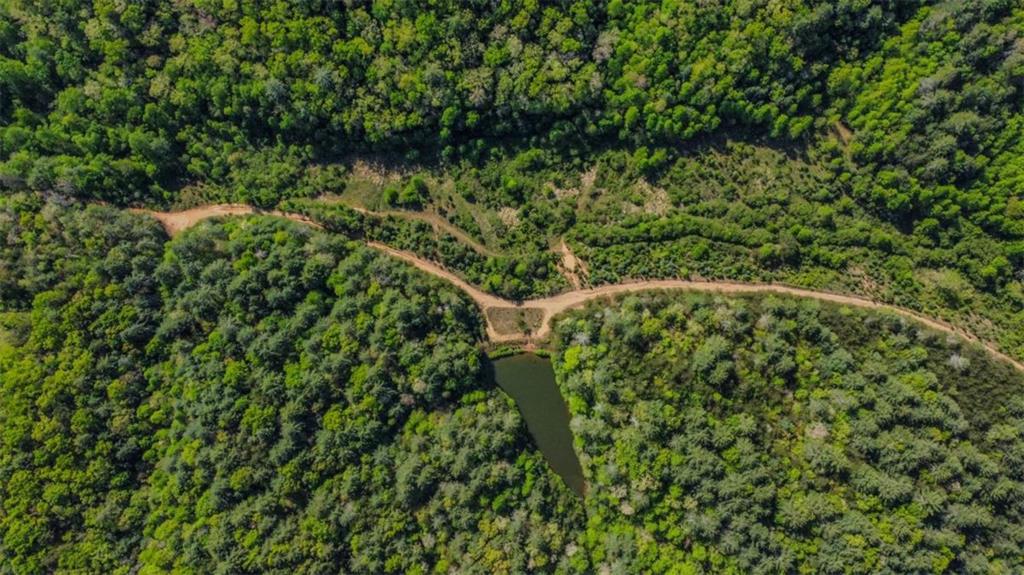 80-acr Valley Lake Road Mineral Bluff, GA 30559 - Photo 58 of 58