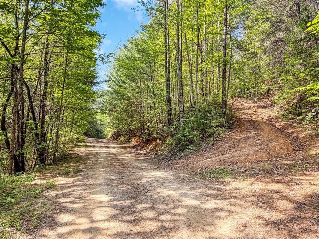 80-acr Valley Lake Road Mineral Bluff, GA 30559 - Photo 10 of 58