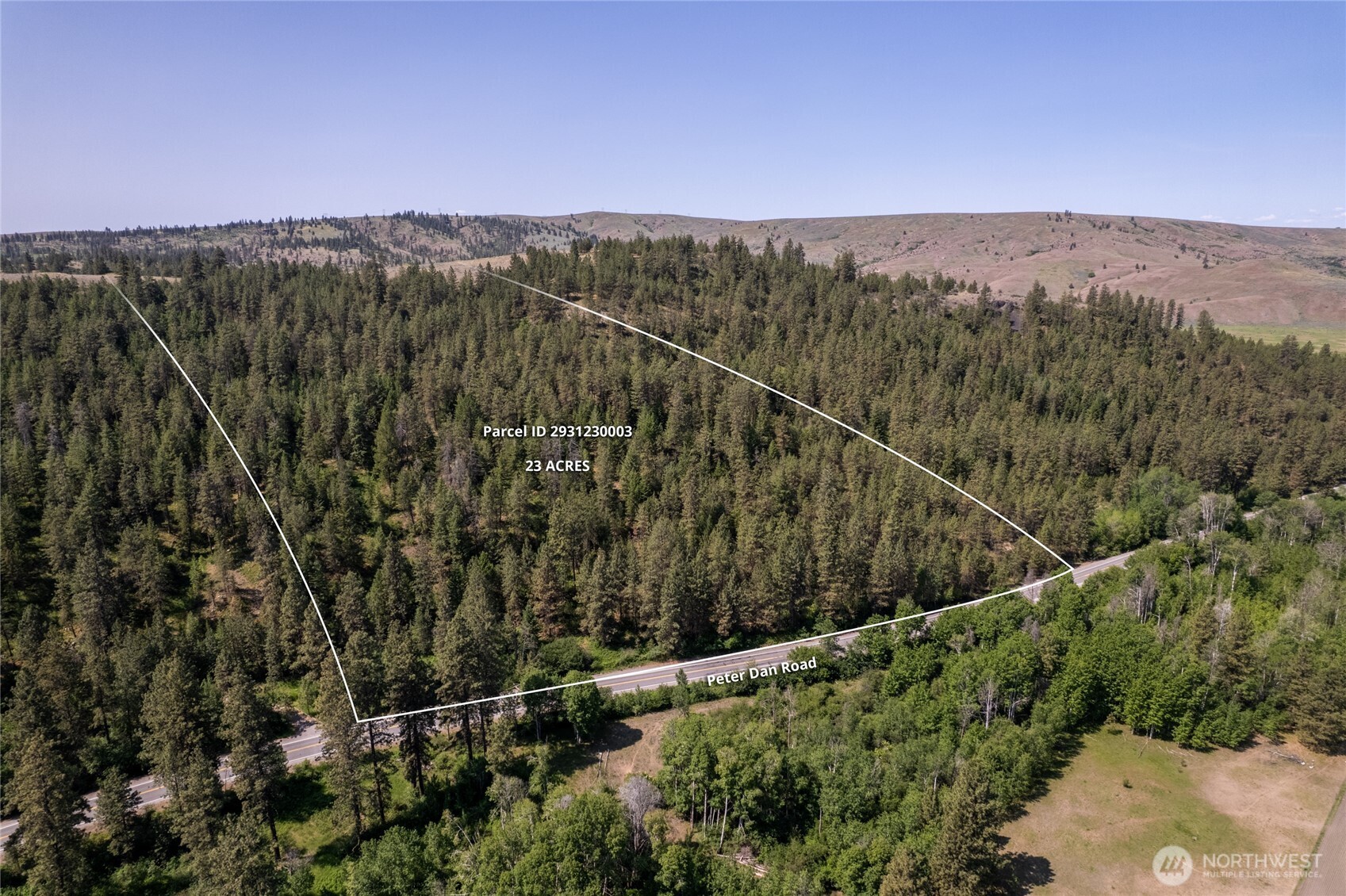0 Peter Dan Road, Unit 2 Coulee Dam, WA 99116 - Photo 2 of 6 a view of a city with lush green forest