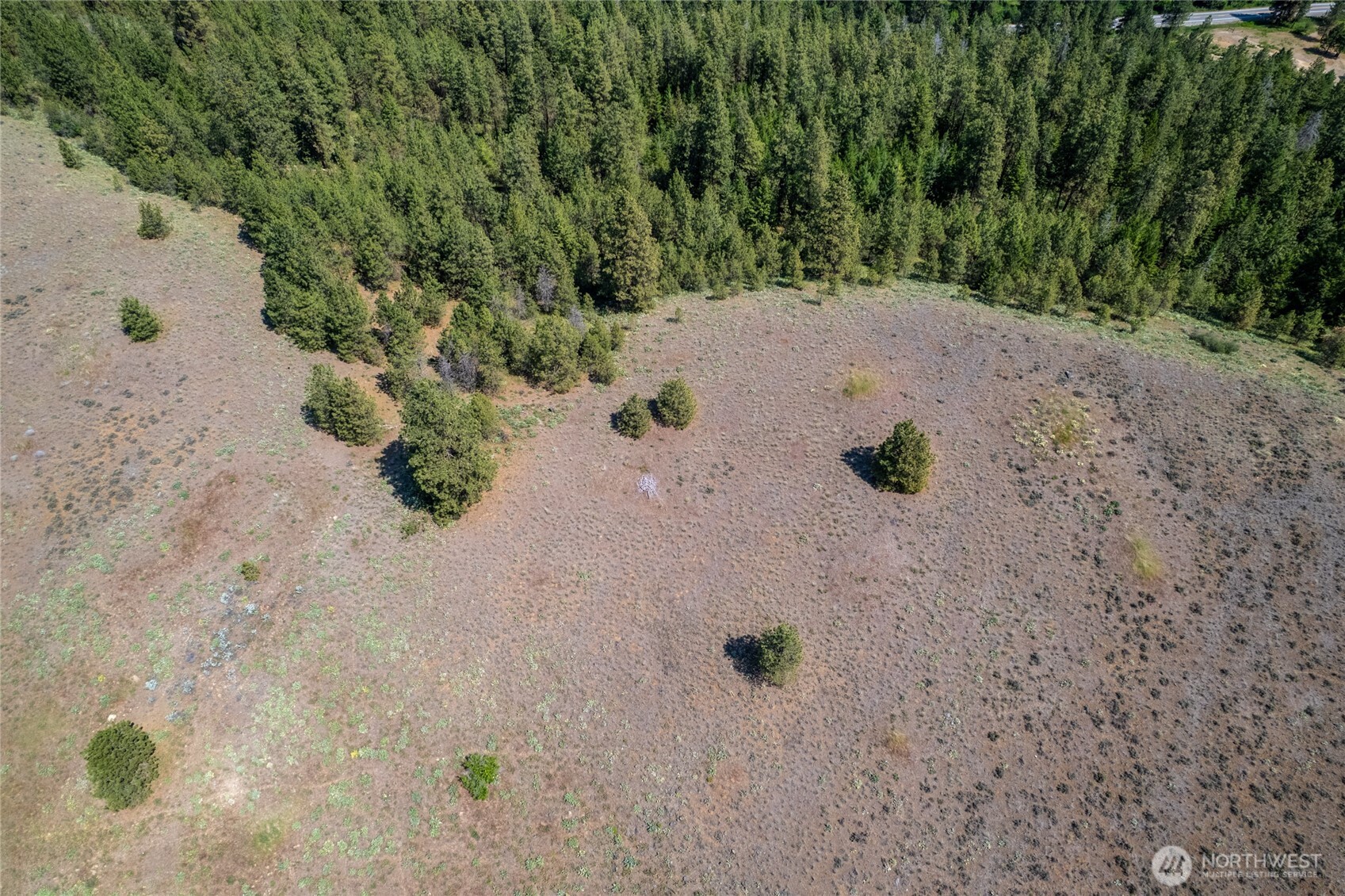 0 Peter Dan Road, Unit 2 Coulee Dam, WA 99116 - Photo 4 of 6 a view of a dry yard with trees in the background