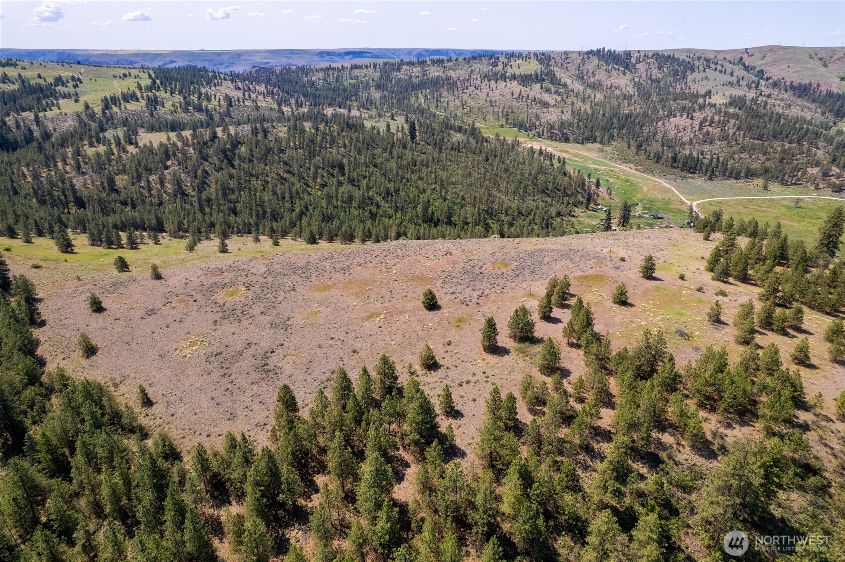 0 Peter Dan Road, Unit 2 Coulee Dam, WA 99116 - Photo 5 of 6 a view of a yard with a mountain