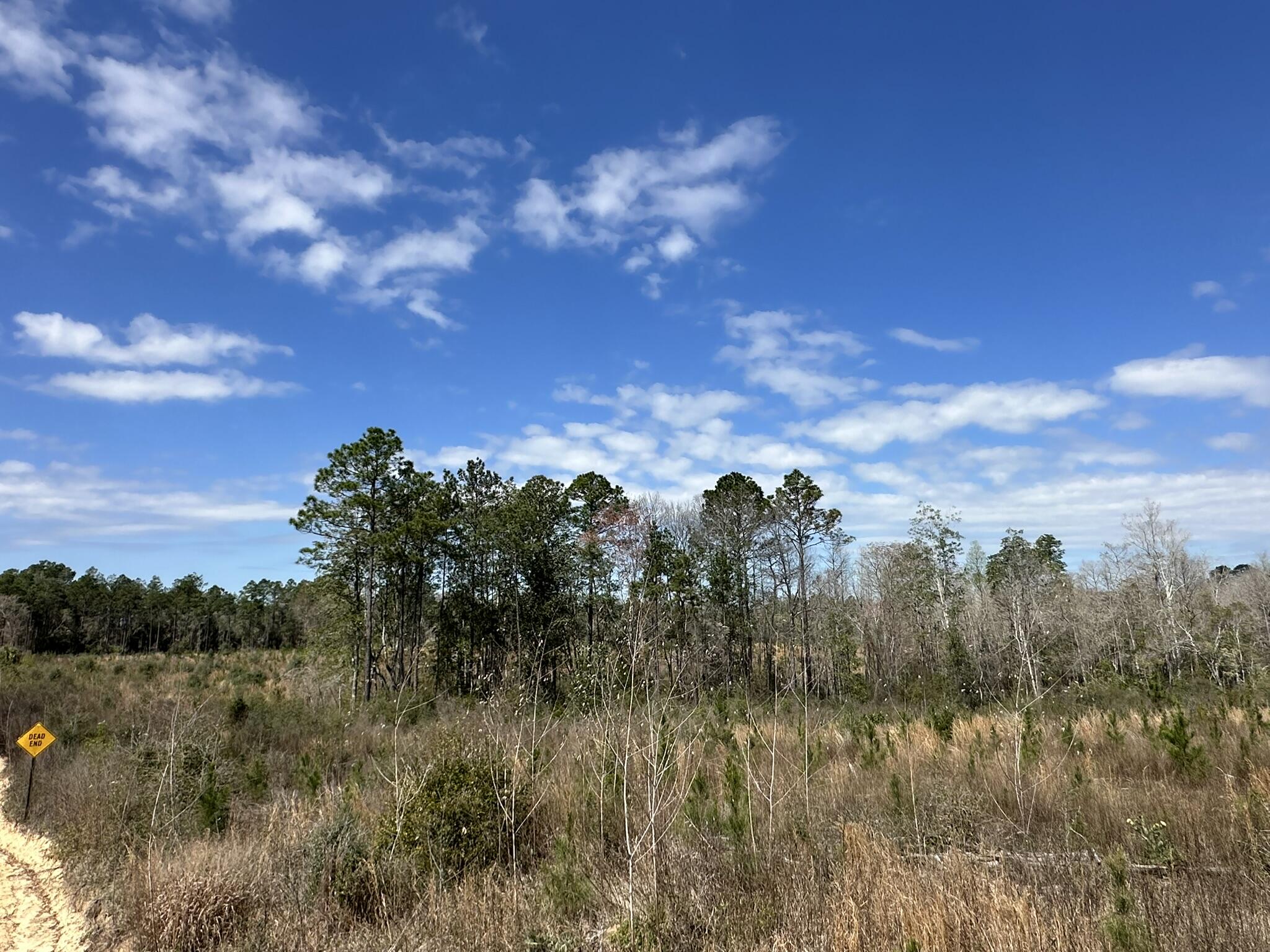 Tract#6409 Davis Road, Unit RIVER ROAD Caryville, FL 32427 - Photo 1 of 12 a view of a city with lots of trees