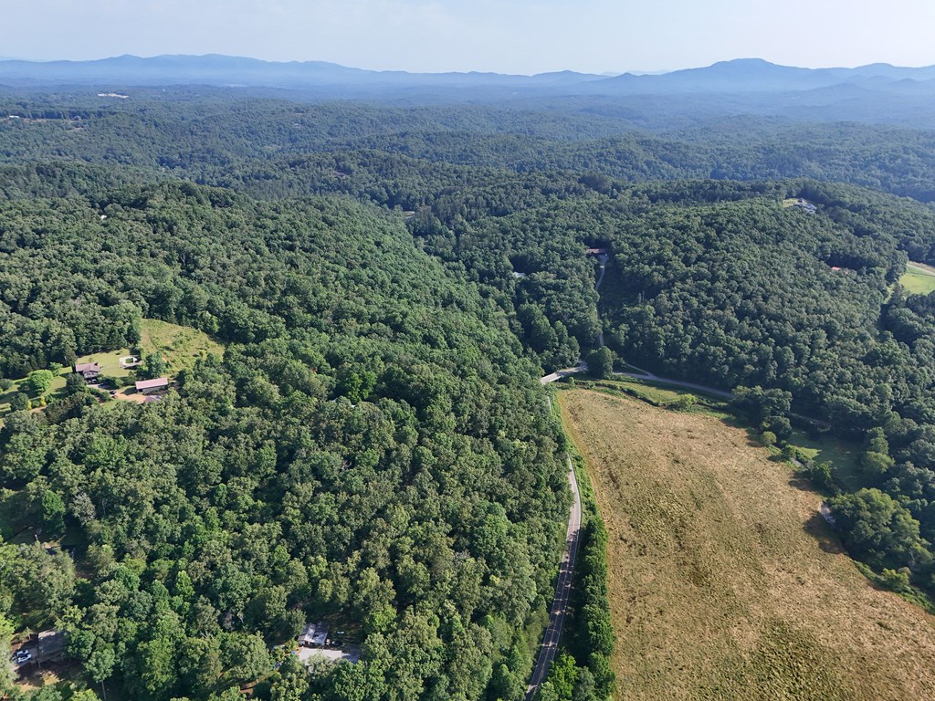 7 Barnes Chapel Road Blue Ridge, GA 30513 - Photo 34 of 36 Gallery Image 34