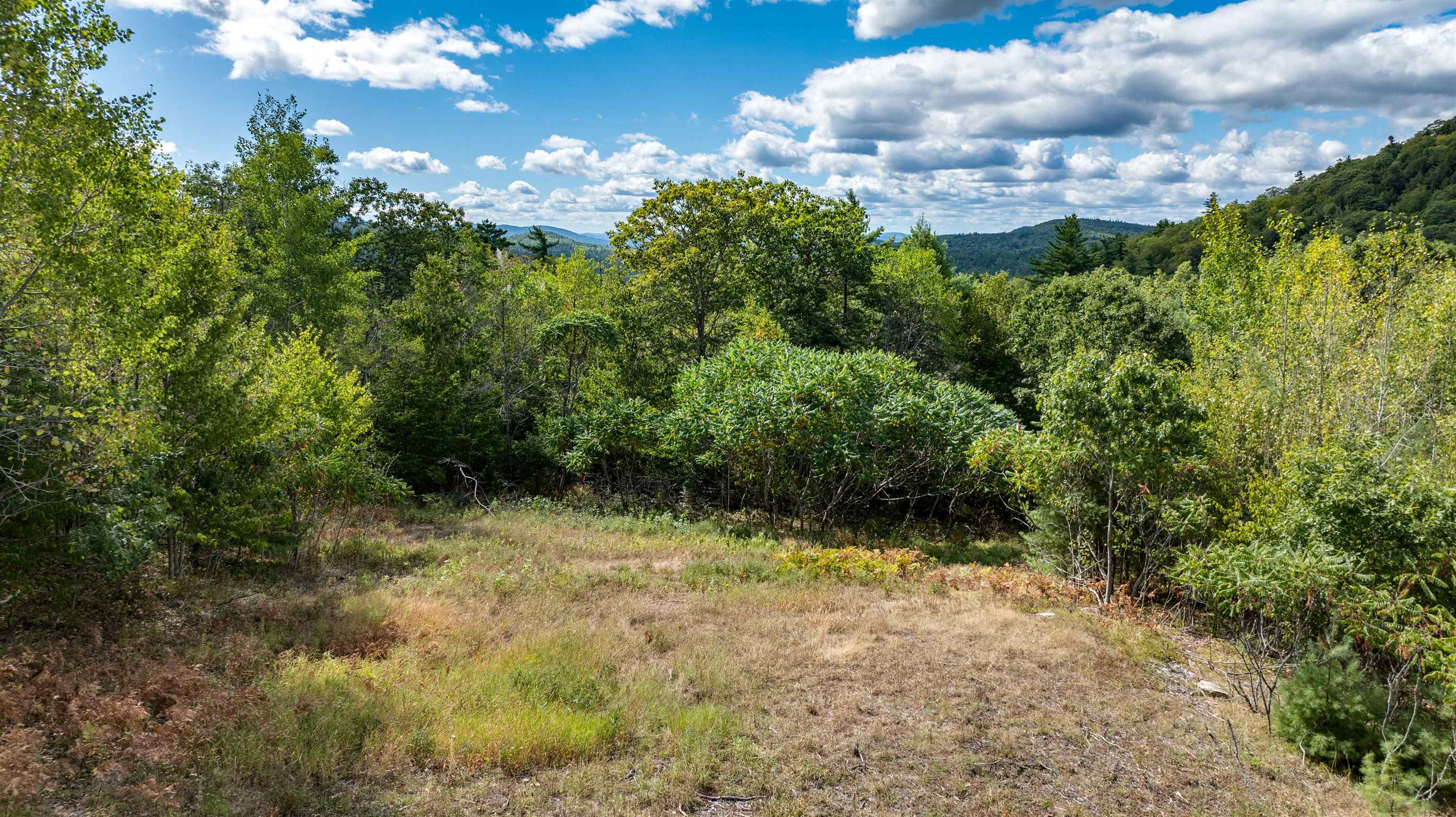 Tbd Youngs Road, Unit LOT 2 Madison, NH 03849 - Photo 6 of 9