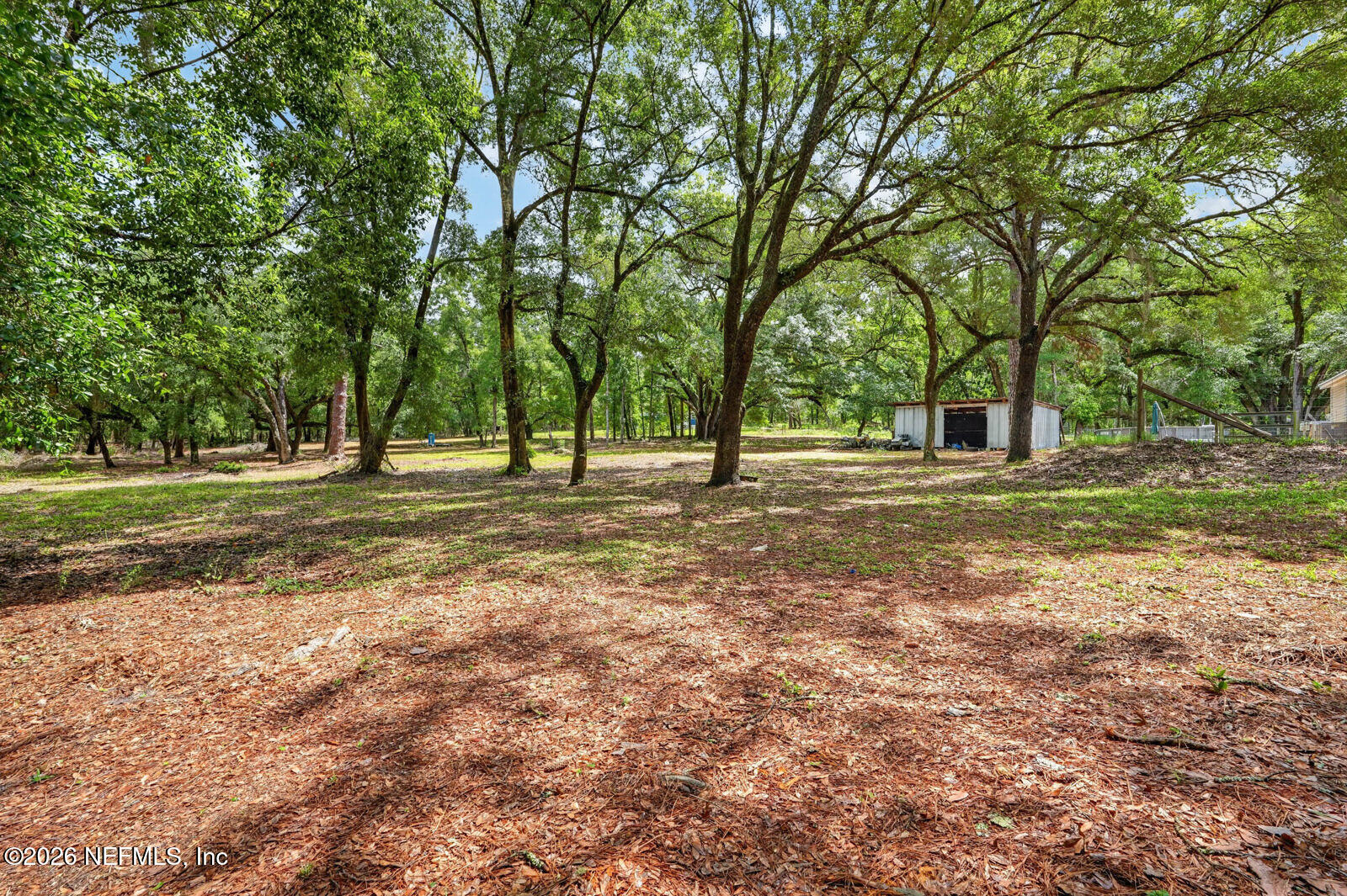 134 Windy Hills Road Hawthorne, FL 32640 - Photo 50 of 66 55_dsc09699