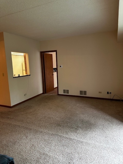 1423 Woodbridge Road, Unit 1F Joliet, IL 60436 - Photo 12 of 19 Gallery Image 12