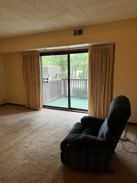 1423 Woodbridge Road, Unit 1F Joliet, IL 60436 - Photo 10 of 19 Gallery Image 10