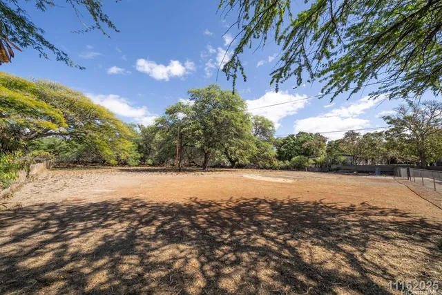 a view of a yard with trees