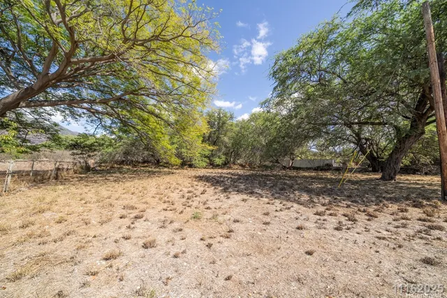 a view of outdoor space and yard