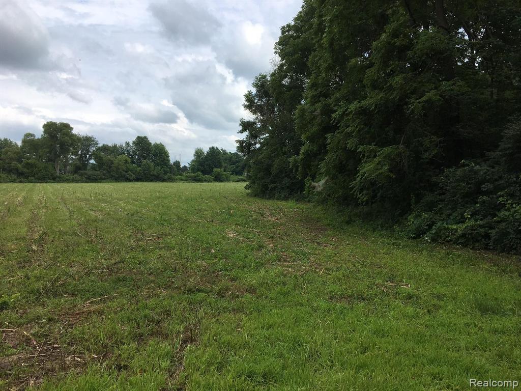 Parcel C Mile Road Romeo, MI 48065 - Photo 1 of 1