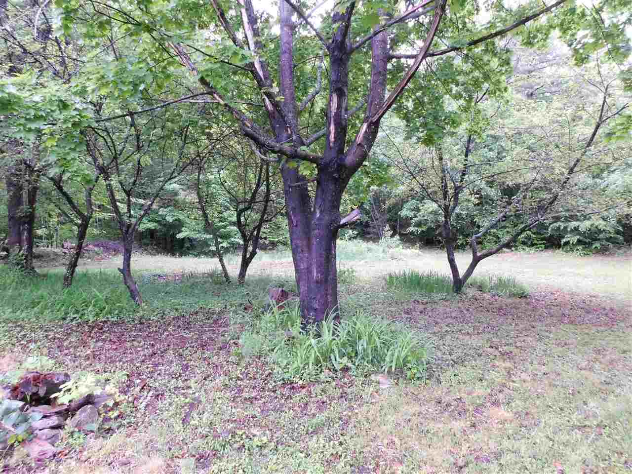 242 New Durham Road Middleton, NH 03887 - Photo 18 of 23