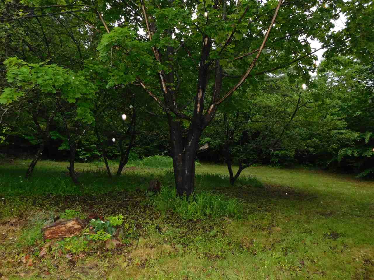 242 New Durham Road Middleton, NH 03887 - Photo 22 of 23