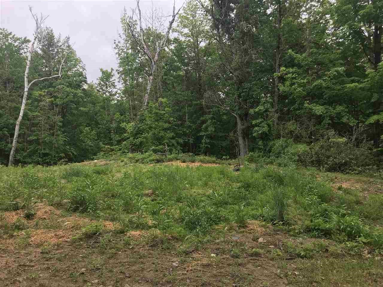242 New Durham Road Middleton, NH 03887 - Photo 4 of 23