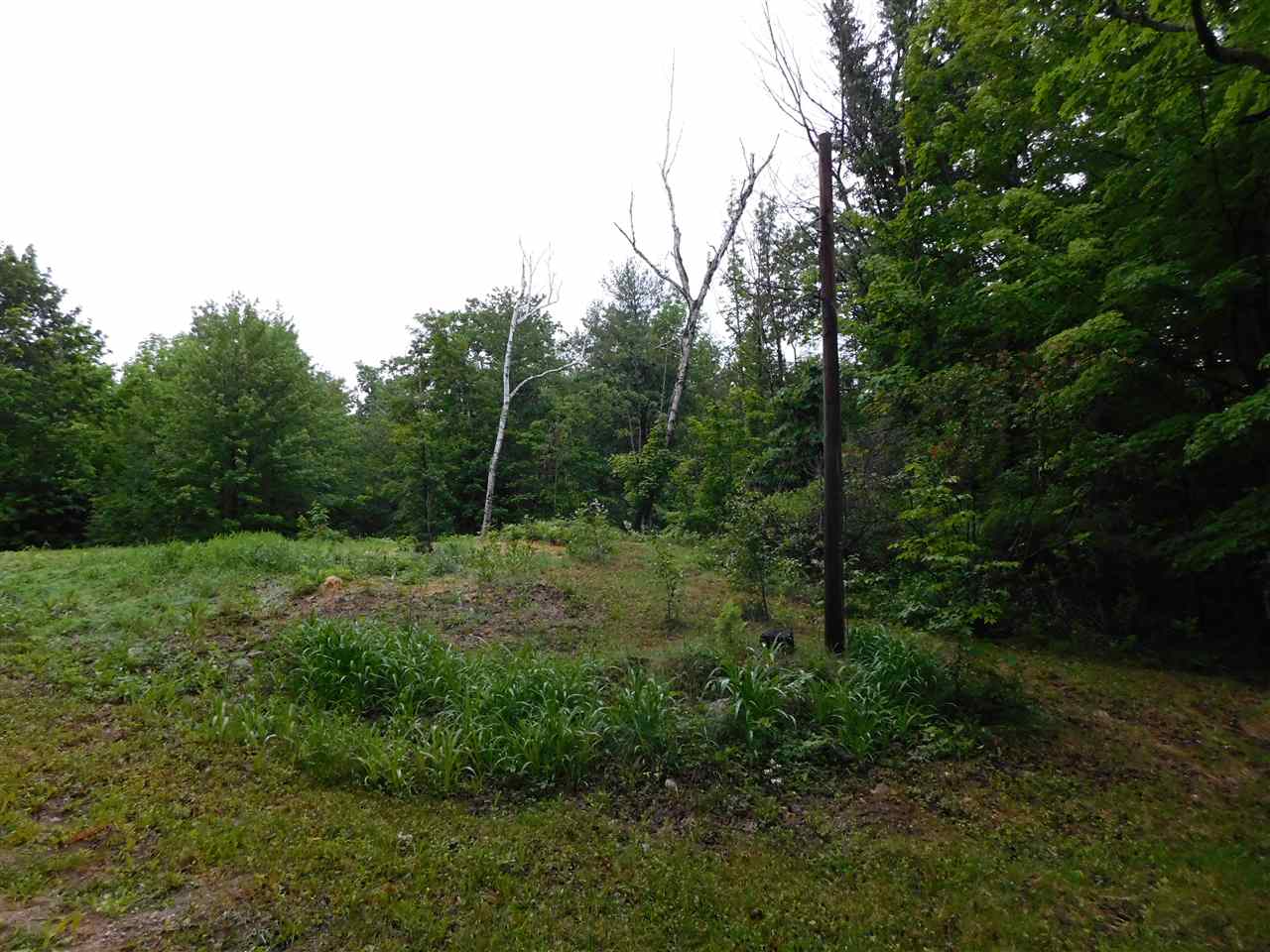 242 New Durham Road Middleton, NH 03887 - Photo 9 of 23