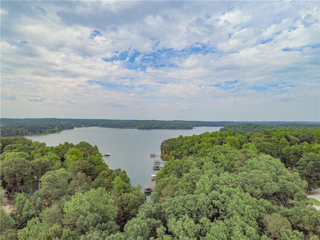 405 Meadows Lane Townville, SC 29689 - Photo 2 of 31 aerial view of Lake Hartwell that the property bor