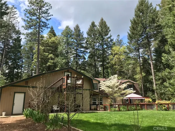 a view of a garden with large trees